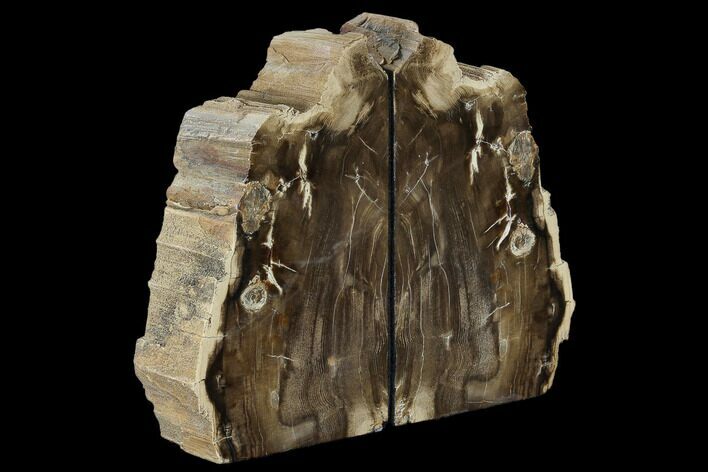 Petrified Wood Bookends - Oregon #117227
